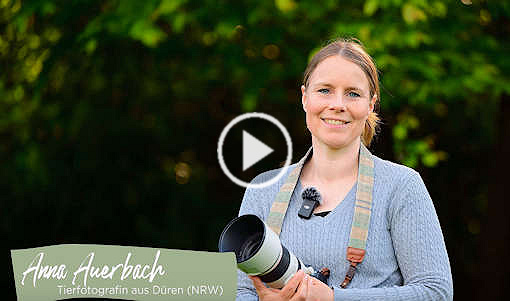 Video über mich und meine Arbeit - klicken